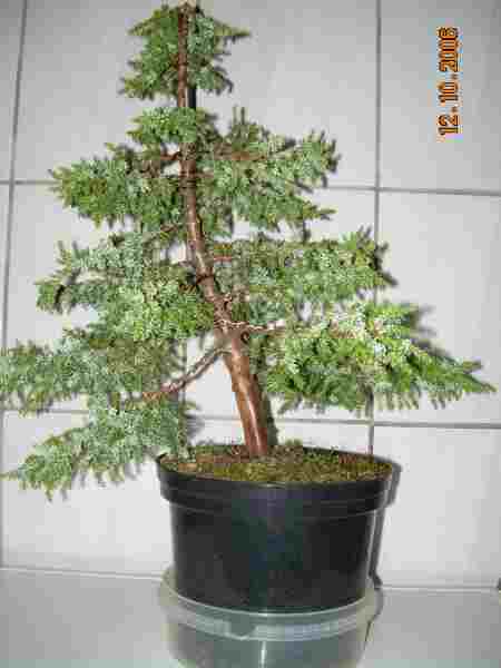 dÂługa droga przed nami ...