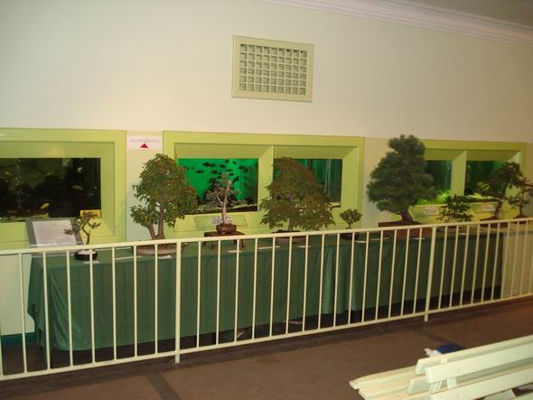 Tak prezentowaÂła siĂŞ nasza ekspozycja.