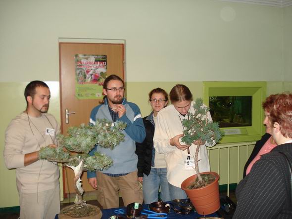 Bolas, Fidelpatcha, Agula76 i Acer Palmatum.