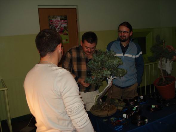 Bolas, Oliwia99 i Fidelpatcha.