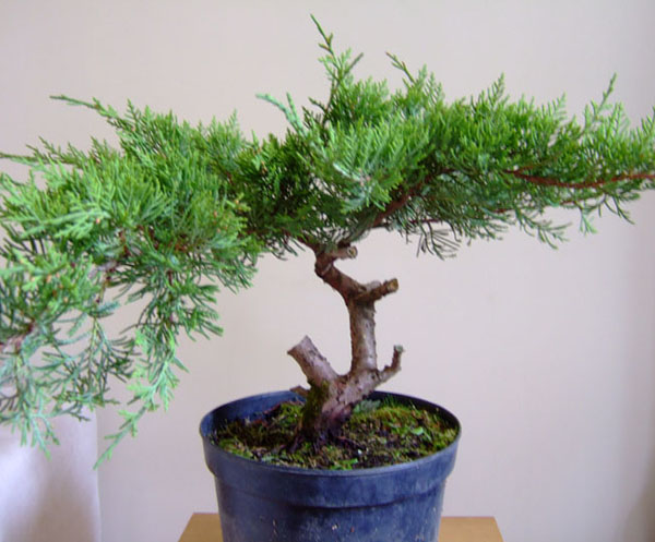 MateriaÂł wyjÂściowy