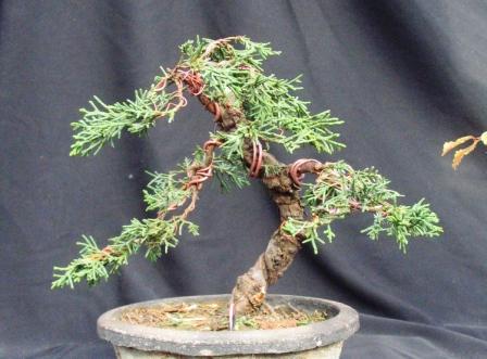 ypaÂź_22 024_finaÂł_ib.jpg