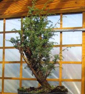 ypaÂź_22 004_mwjI.jpg