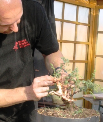 ypaÂź_22 071_jaÂł2_koĂą.jpg