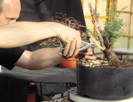 ypaÂź_22 064_jaÂł2jiny.jpg