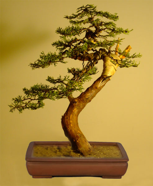 przymiarka kopia.jpg