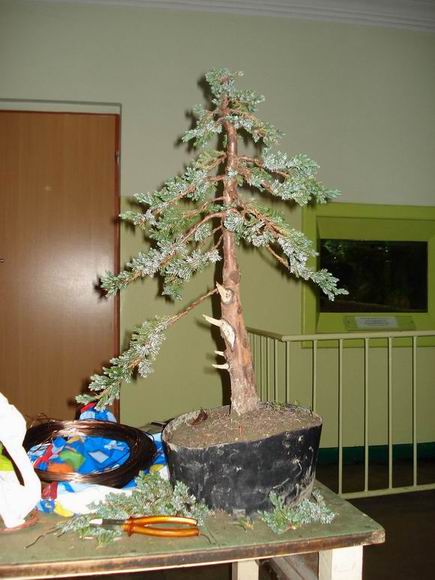 "StrzaÂła" z bliska.