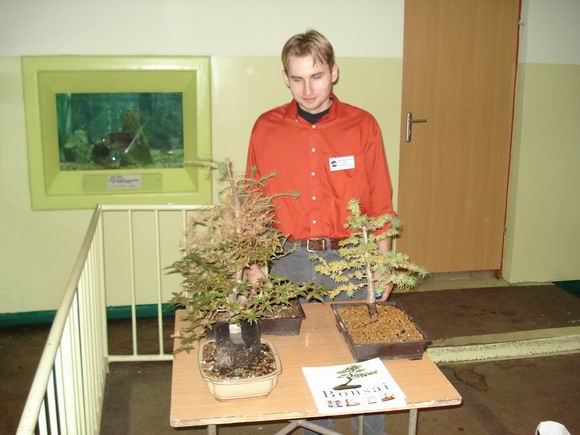 Kamil przywiĂłzÂł trzy drzewka: dwa modrzewie i klona palmowego.