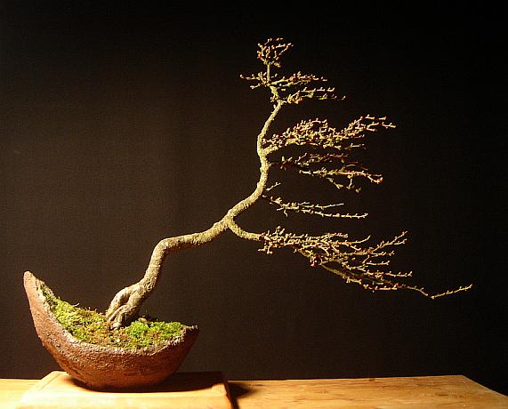 Styl Fukinagashi.jpg