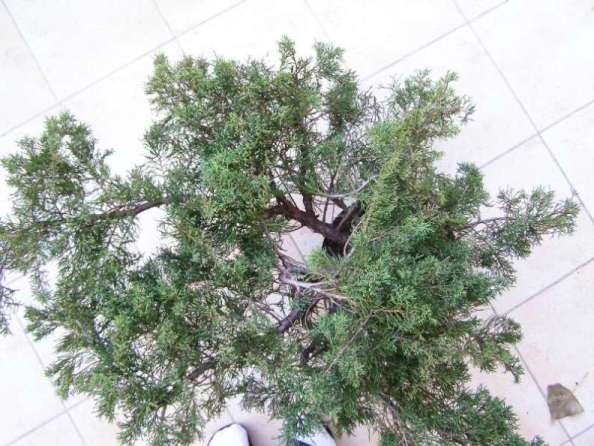 materiaÂł przed formowaniem