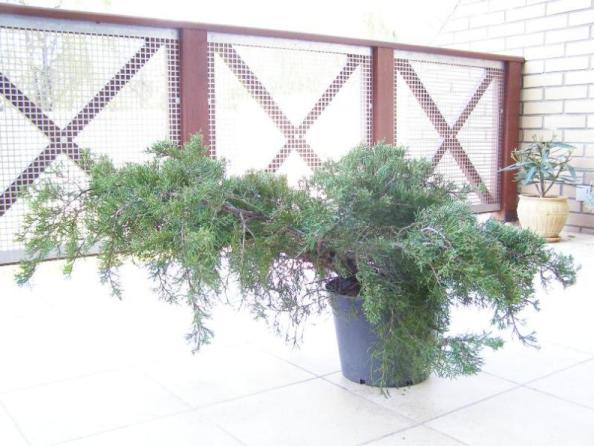 materiaÂł przed formowaniem