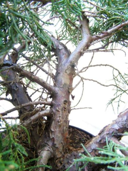 materiaÂł przed formowaniem