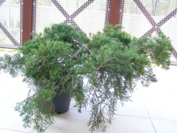 komentarze mile widziane