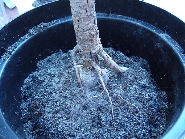 oto dlaczego trzeba byÂło cos w koĂącu zrobiĂŚ:/