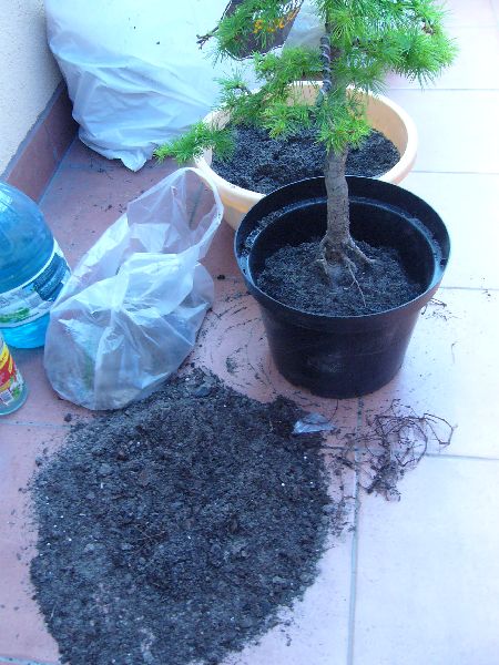 "stanowisko" pracy:)