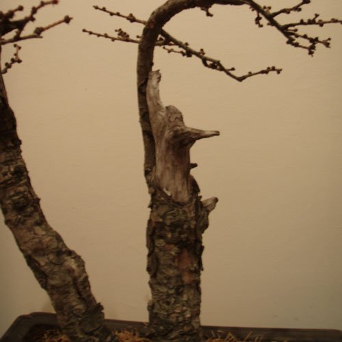 jak wychodzi pierwsza gaÂłÂąÂź