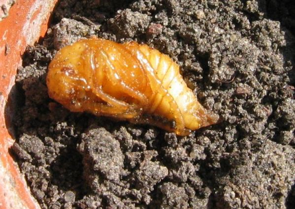 Tak wyglÂądaÂł w maju