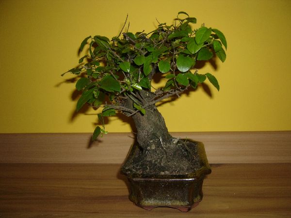 MaÂło ciekawa strona - bok