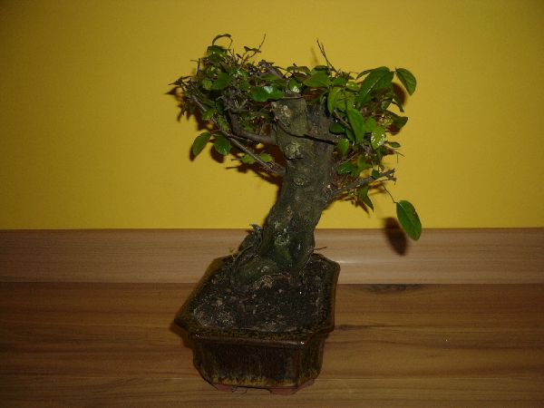 Tu widaĂŚ prĂłchniejÂący fragment