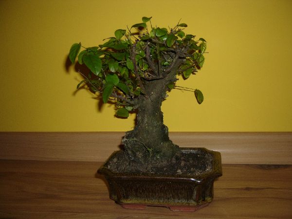 ByĂŚ moÂże front