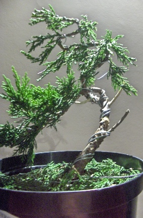 to wlasnie owoc moich prac...