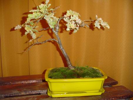 Koniec lata, po ataku mÂączniaka.