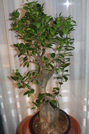 widok z jednego "boku"