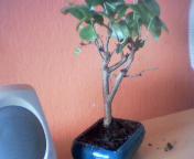 przepraszam jeÂżeli jakoÂśĂŚ zdjĂŞĂŚ jest kiepska ale