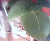 chyba sie zgodzisz ze troszke inaczej wyglÂąda?