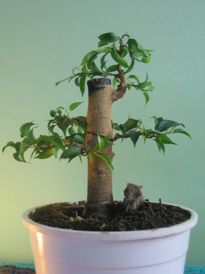 Jeszcze przed nim dluuuuuuuga droga.