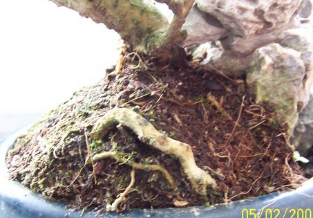 podÂłoÂże - tyÂł