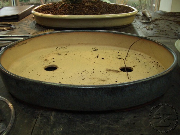 Kilka osob doradzalo mi abym wybral ta doniczke. Ja zdecydowalem sie na ta jasna.