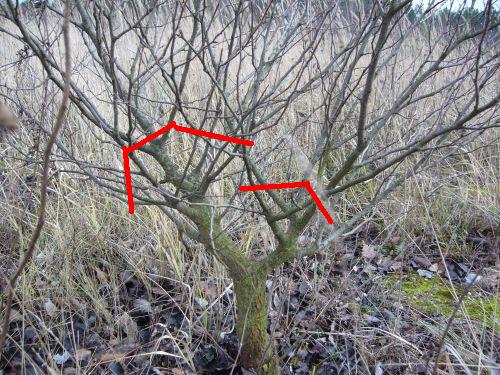 i jak sÂądziecie Âżebym to przycioÂł tak jakoÂś bo wÂłaÂśnie nie wiem czy nie zaduÂżĂł ogĂłlnie to tak mi pasuje