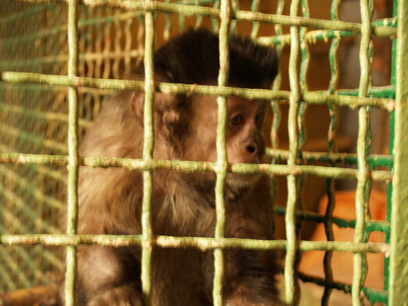 ...ktĂłry to przyciÂągnÂąÂł nawet widzĂłw postronnych