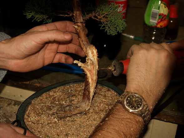 Praca wymagaÂła niemal stomatologicznej precyzji...