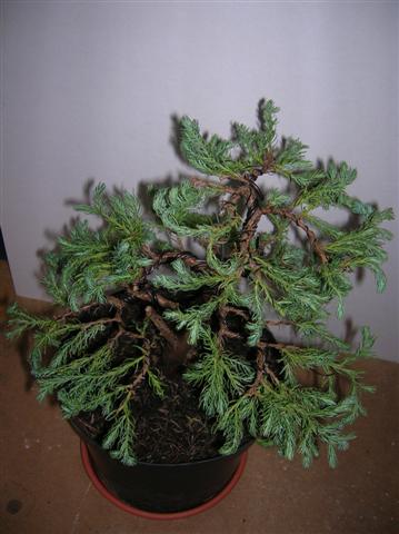 Obraz 027 (Small).jpg