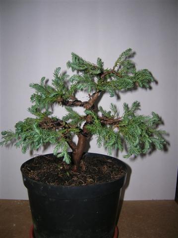 Obraz 026 (Small).jpg