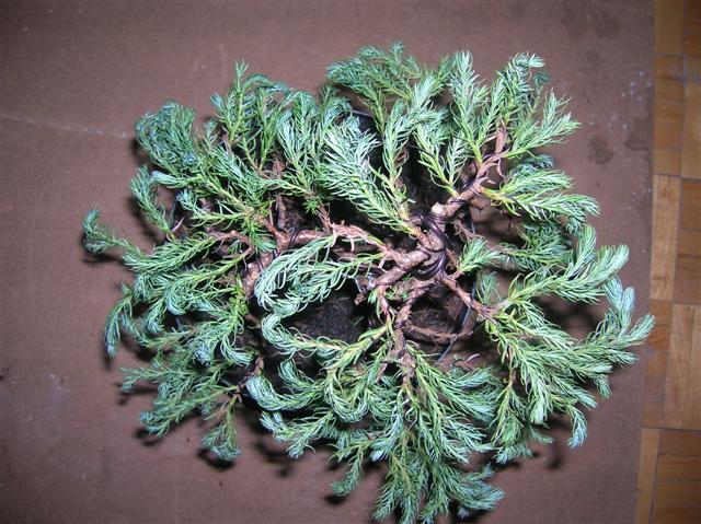 Obraz 023 (Small).jpg