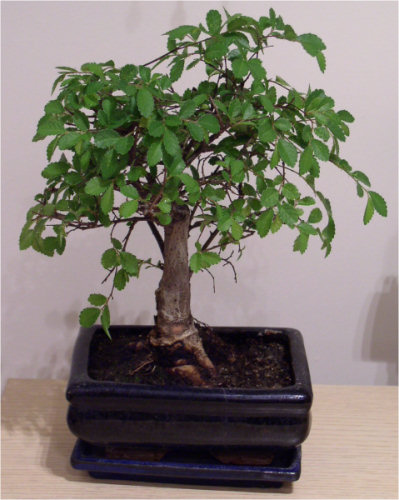 Taak to wÂłaÂśnie wyglÂąda