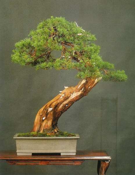 P.De Martino (5).jpg