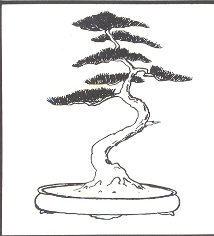 lub tak choĂŚ to iglak.jpg