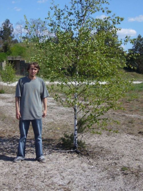 a tam z boku to coÂś nie zwracajcie uwagi staneÂłem tylko dla porĂłwnania