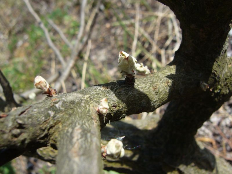 pÂąki sÂą wszĂŞdzie =)