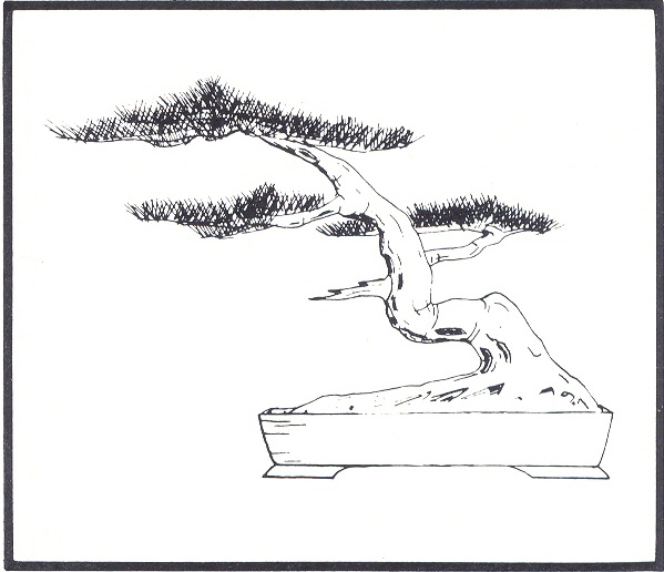 Bez nazwy 1 kopia.jpg