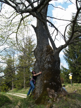ÂŻona dla pokazania skali