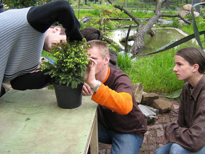 I jeszcze kilka wskazĂłwek.