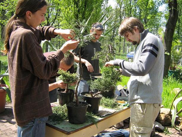 Mateusz i Damian przy pracy.