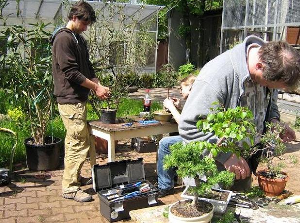 MirosÂław i Artur podczas formowania