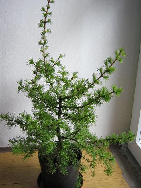 MateriaÂł Ogrodnika