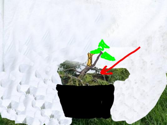 Tak na szybko zrobiony, szkic